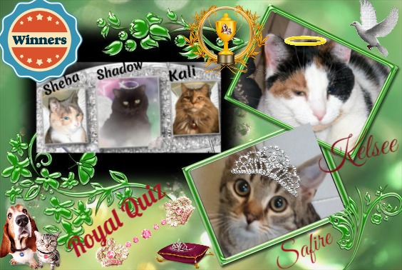 Angel Kelsee of the Lindakatz family