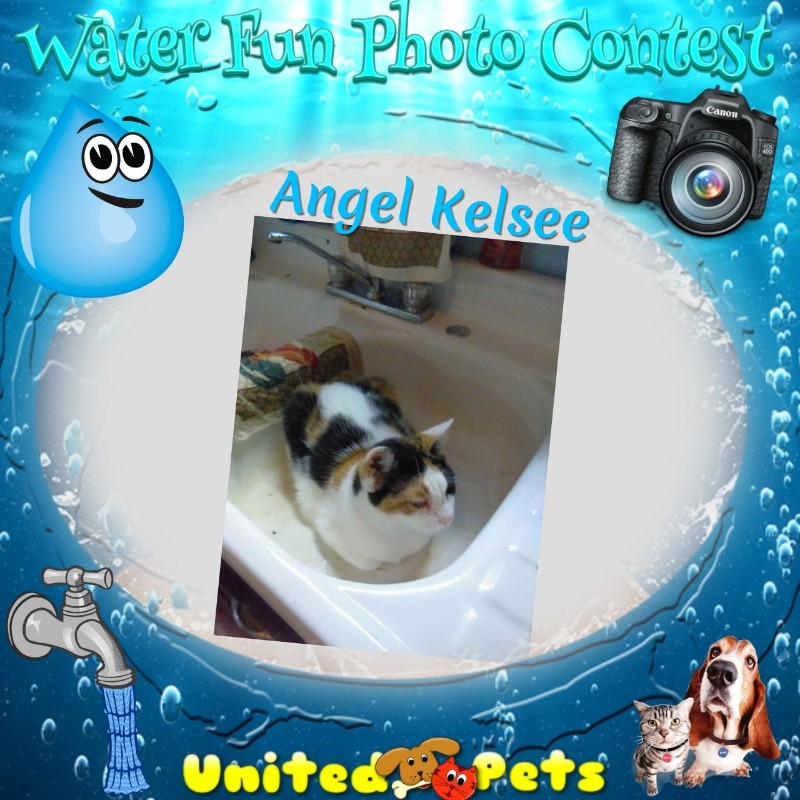 Angel Kelsee of the Lindakatz family