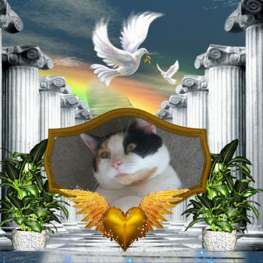 Angel Kelsee of the Lindakatz family