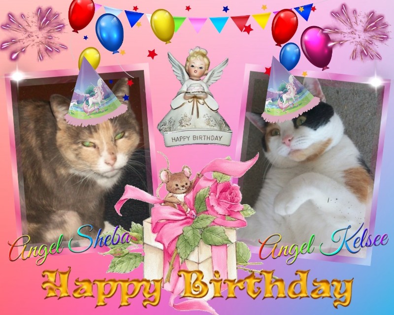 Angel Kelsee of the Lindakatz family