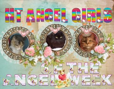 Ht Angel Girls of the Lindakatz family