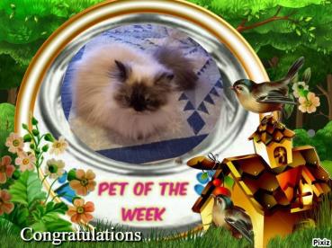 Pooh-bear of the Lindakatz family