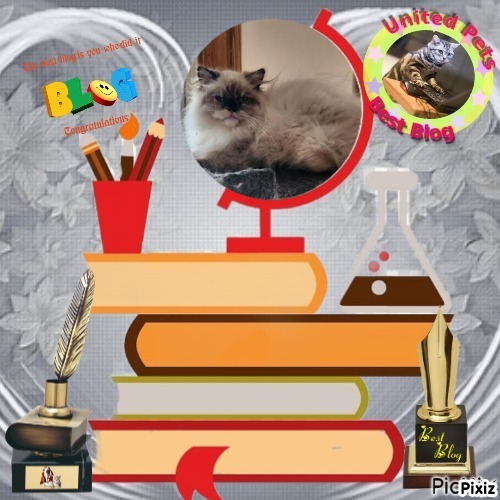 Pooh-bear of the Lindakatz family