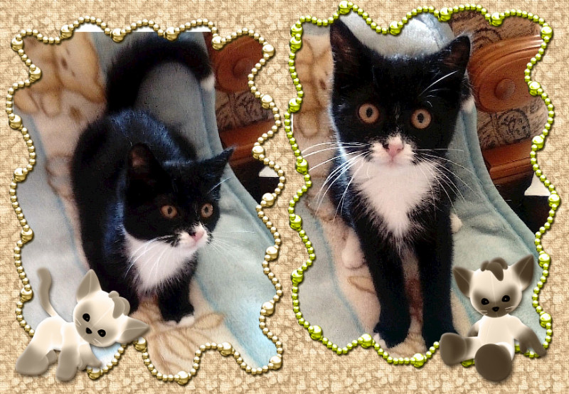 Betka of the Maja family