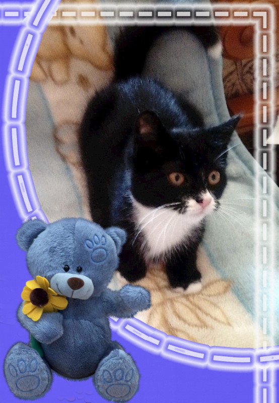 Betka of the Maja family