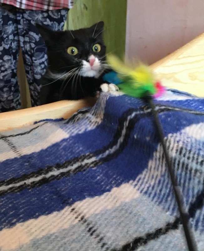 Betka of the Maja family