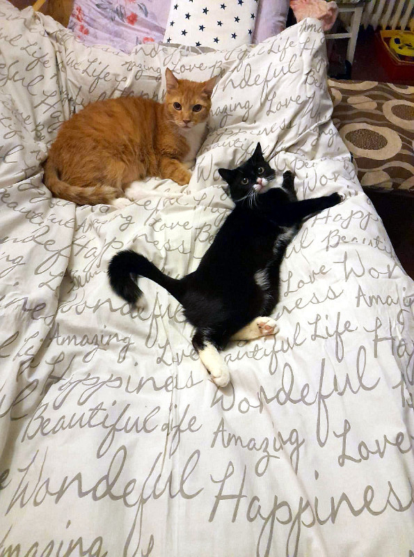 Betka of the Maja family