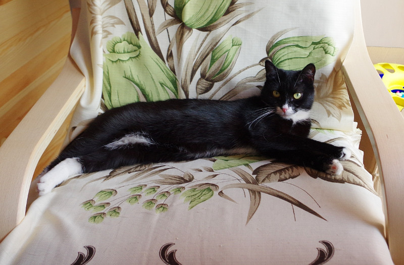 Betka of the Maja family