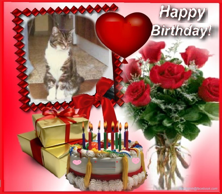 Elmer of the Oldwoman family