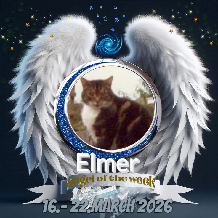 Oldwoman uploaded   27  day/s  ago