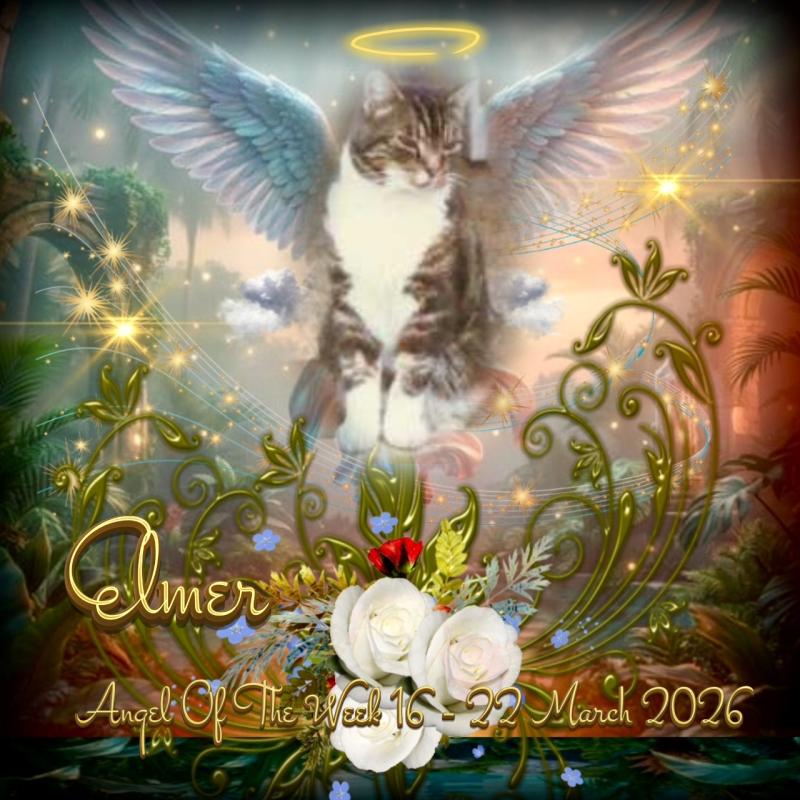 Elmer of the Oldwoman family