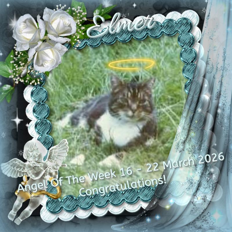 Elmer of the Oldwoman family