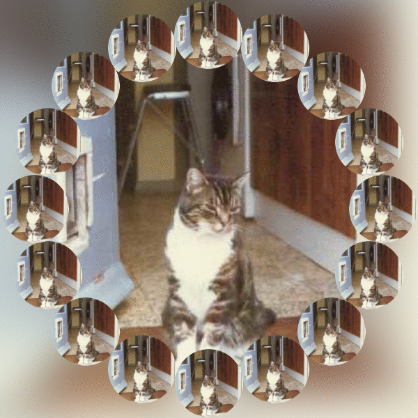 Elmer of the Oldwoman family