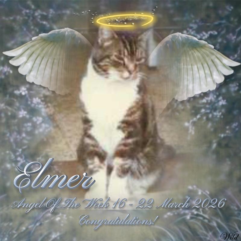 Elmer of the Oldwoman family