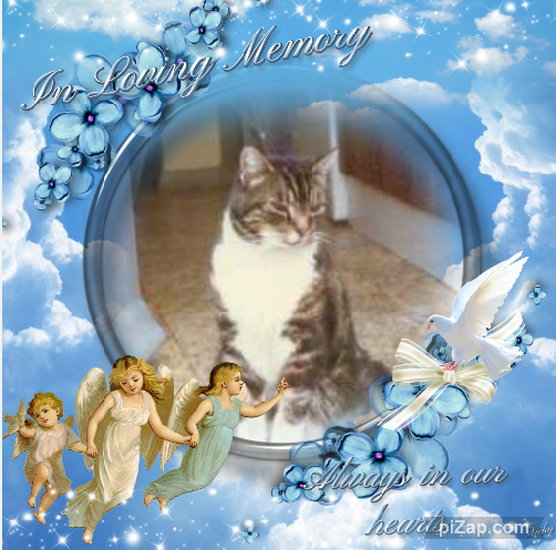 Elmer of the Oldwoman family