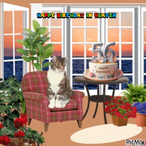 Elmer of the Oldwoman family