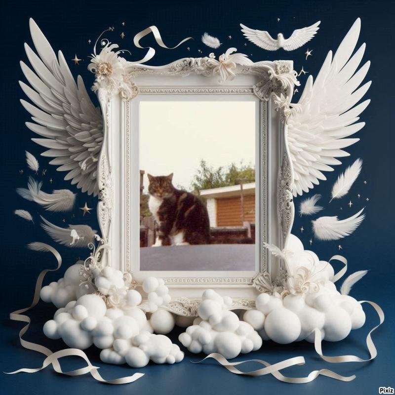 Oldwoman uploaded   27  day/s  ago