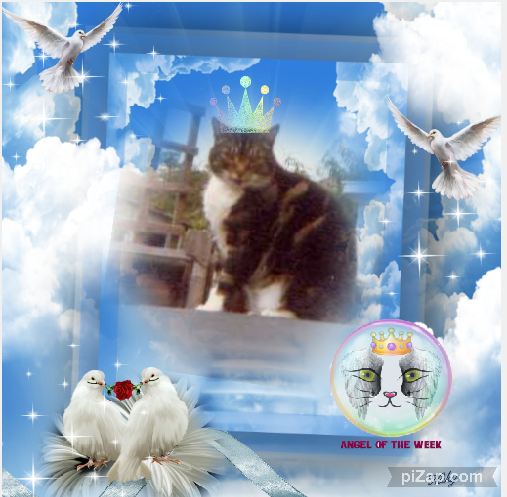 Elmer of the Oldwoman family