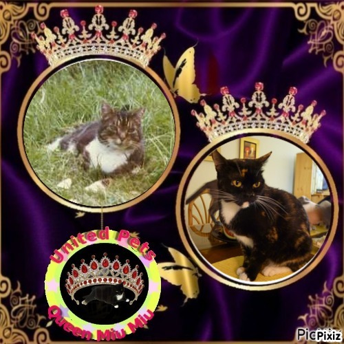 Elmer of the Oldwoman family