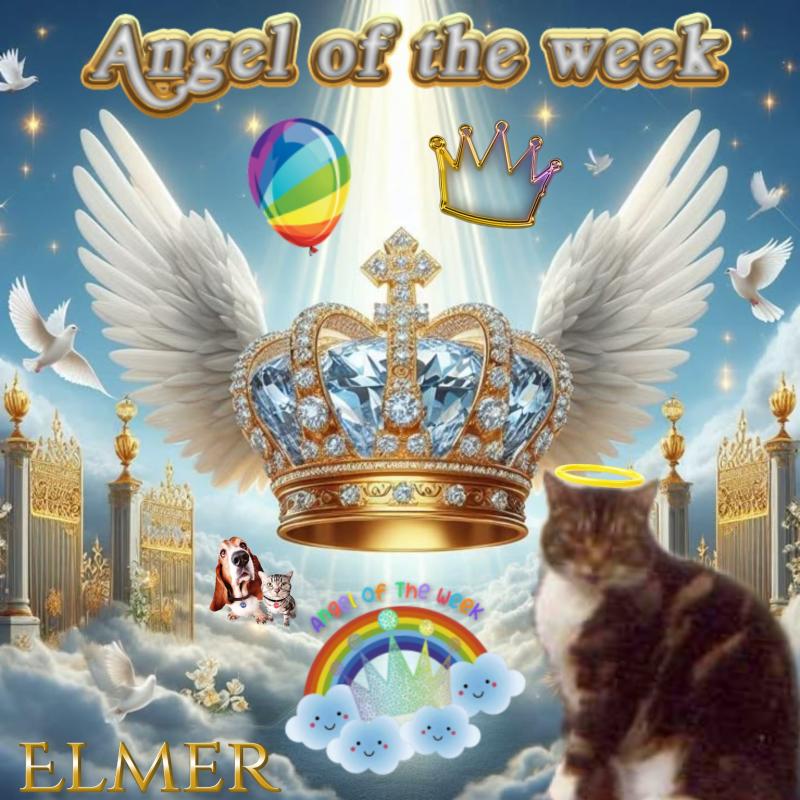 Oldwoman uploaded   27  day/s  ago