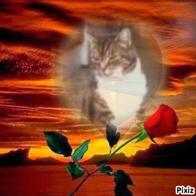 Elmer of the Oldwoman family