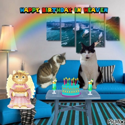 Oldwoman uploaded   2 year/s ago