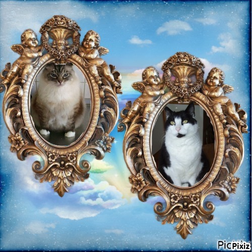 Sidney of the Oldwoman family