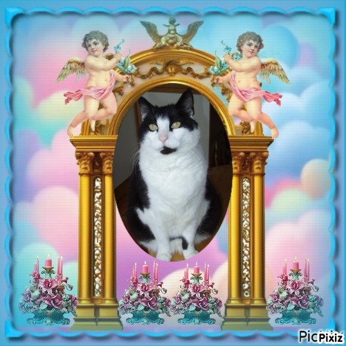 Sidney of the Oldwoman family