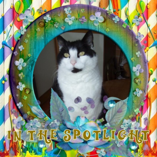 Sidney of the Oldwoman family