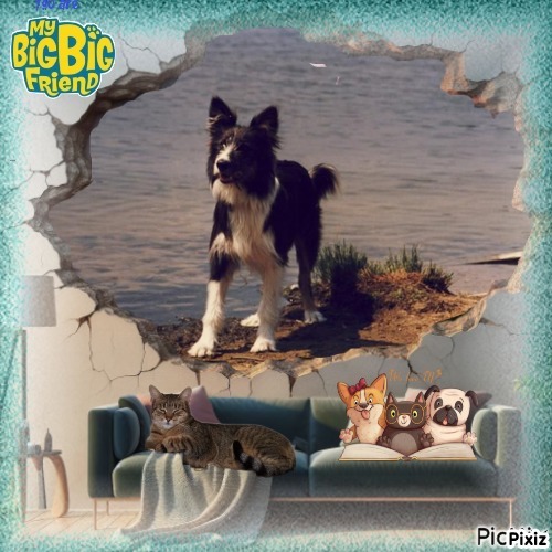 Chester of the Oldwoman family