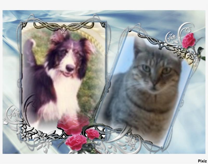 Chester of the Oldwoman family