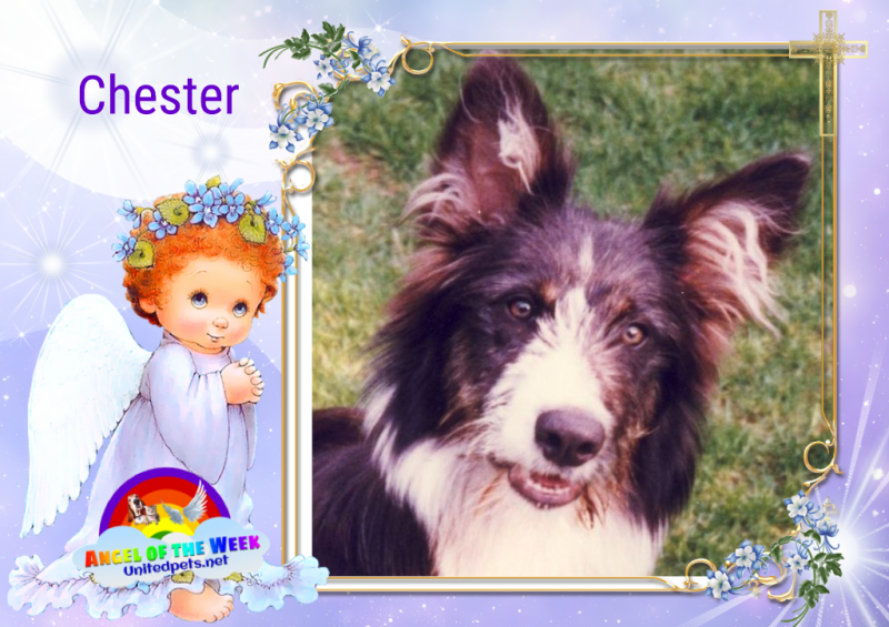 Chester of the Oldwoman family