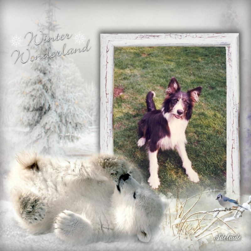 Chester of the Oldwoman family