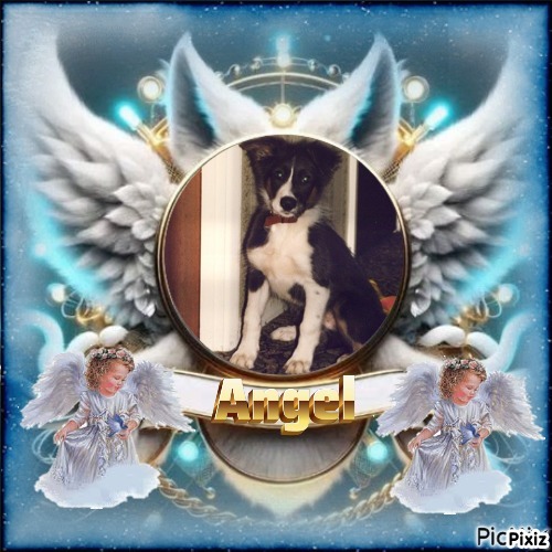 Chester of the Oldwoman family