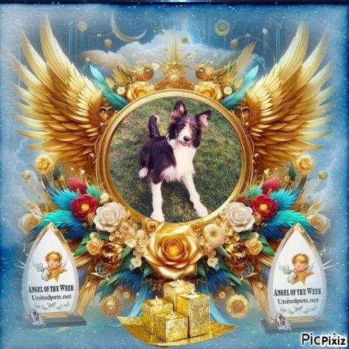 Chester of the Oldwoman family