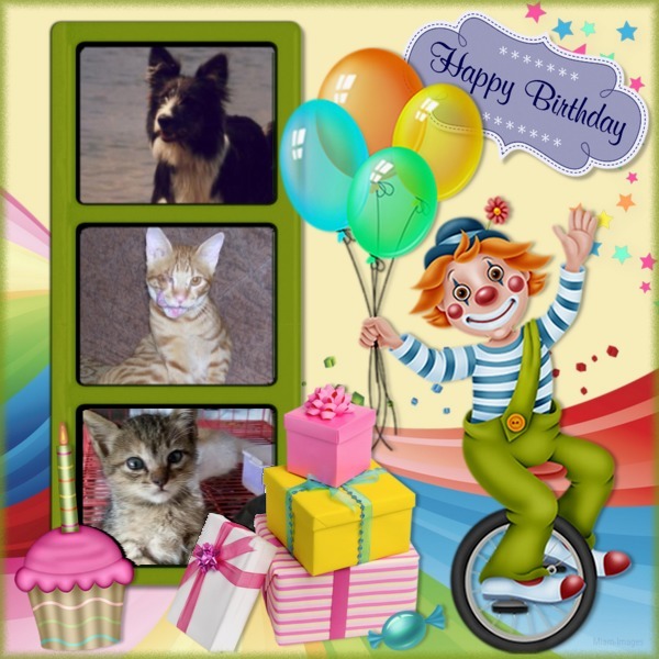 Chester of the Oldwoman family