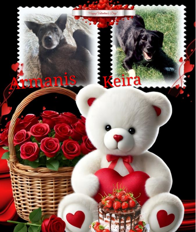 Keira of the Oldwoman family