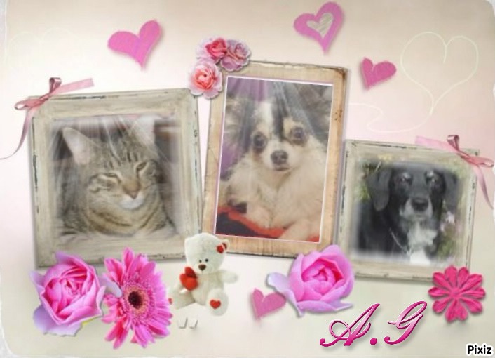 Keira of the Oldwoman family