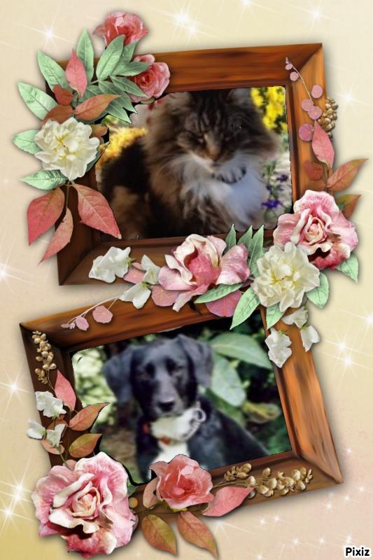 Keira of the Oldwoman family