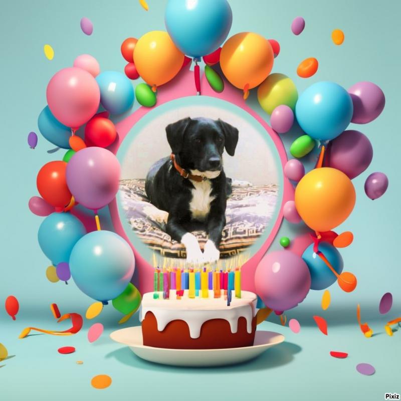 Oldwoman uploaded   2 year/s ago