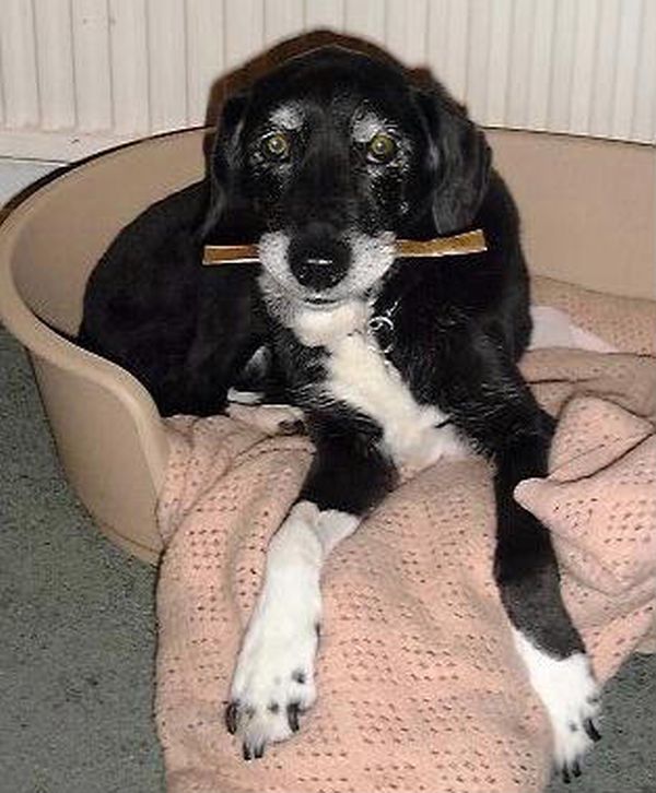 Oldwoman uploaded   12 year/s ago