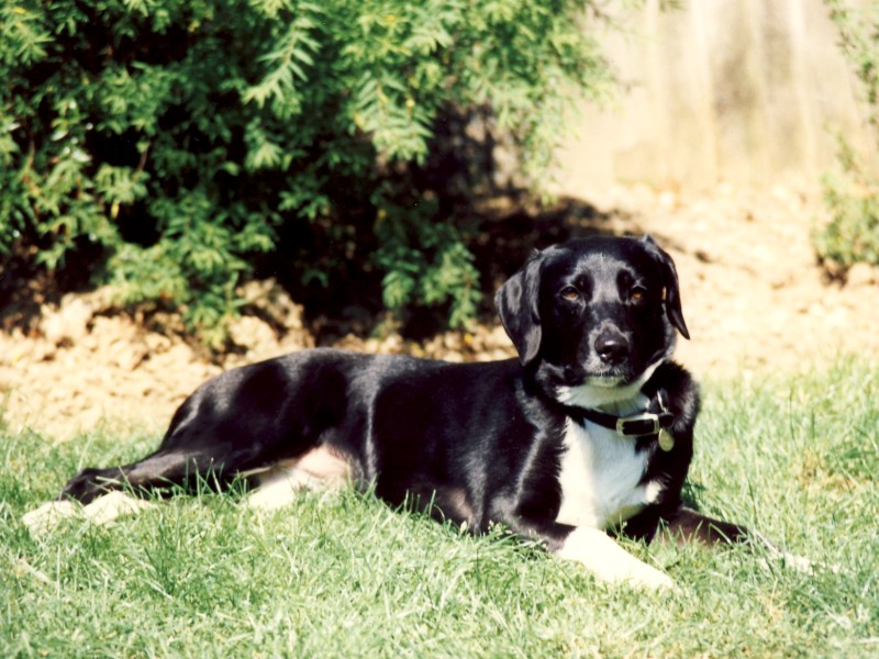 Oldwoman uploaded   12 year/s ago