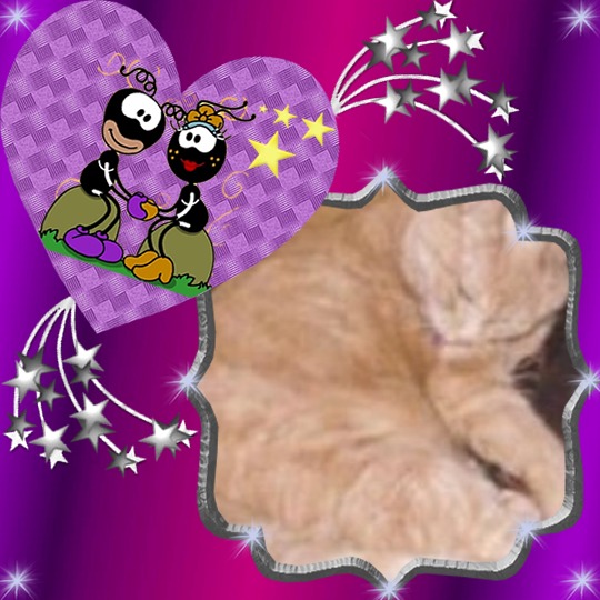 Gt of the Oldwoman family