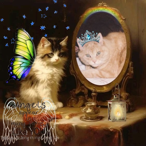 Gt of the Oldwoman family