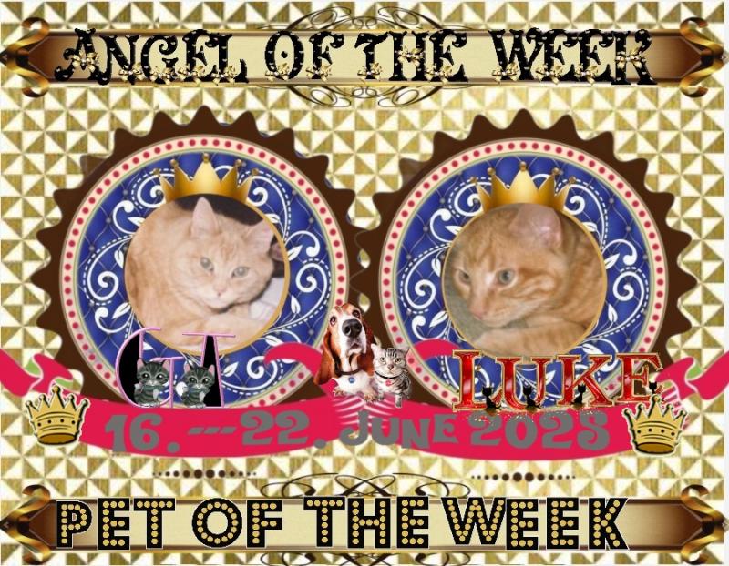 Gt of the Oldwoman family