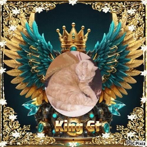 Gt of the Oldwoman family