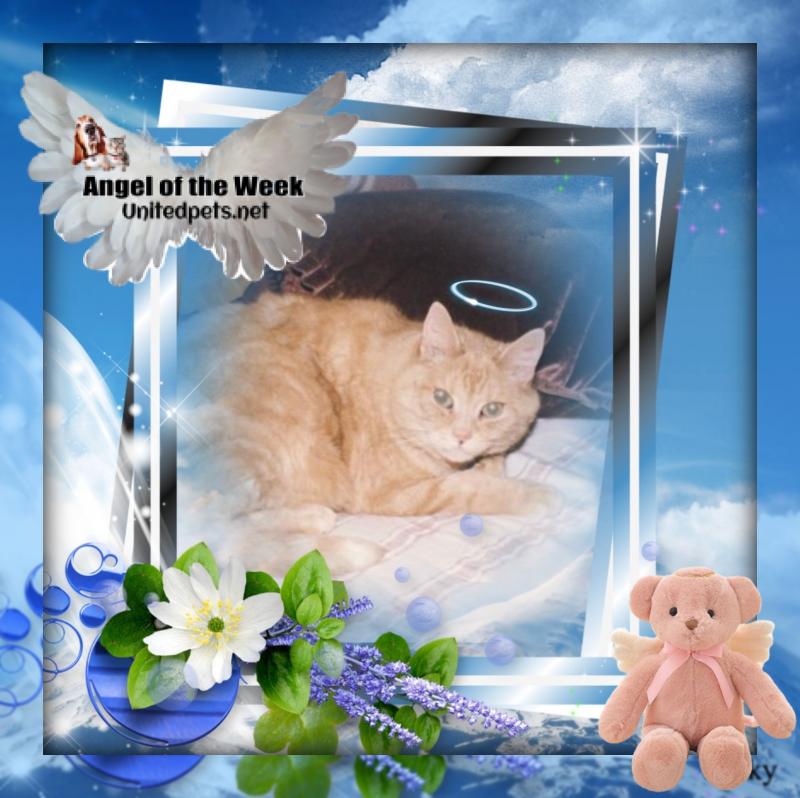 Gt of the Oldwoman family