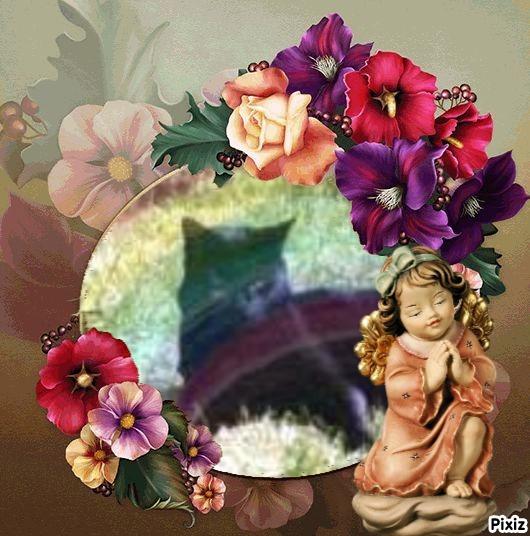 Cassius of the Oldwoman family