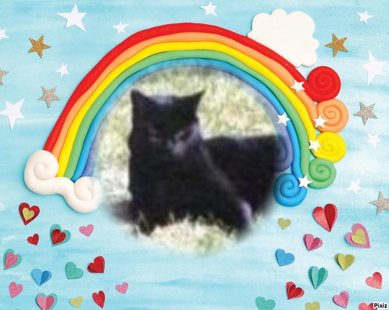 Cassius of the Oldwoman family