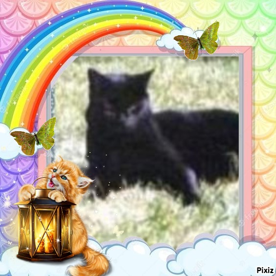 Cassius of the Oldwoman family